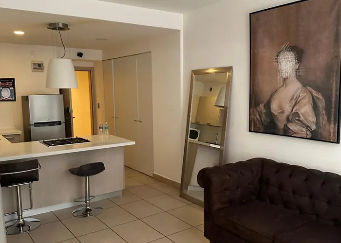 Departamentos De Lujo Carso Alameda Apartment